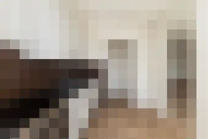 Zadkinerade 56 Capelle aan den IJssel thumbnail 10