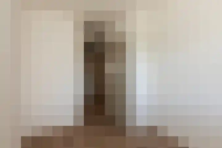 Zadkinerade 56 Capelle aan den IJssel thumbnail 12