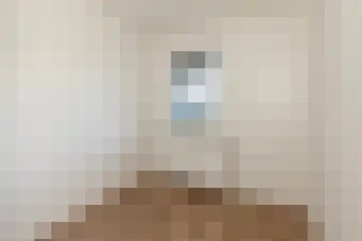 Zadkinerade 56 Capelle aan den IJssel thumbnail 15