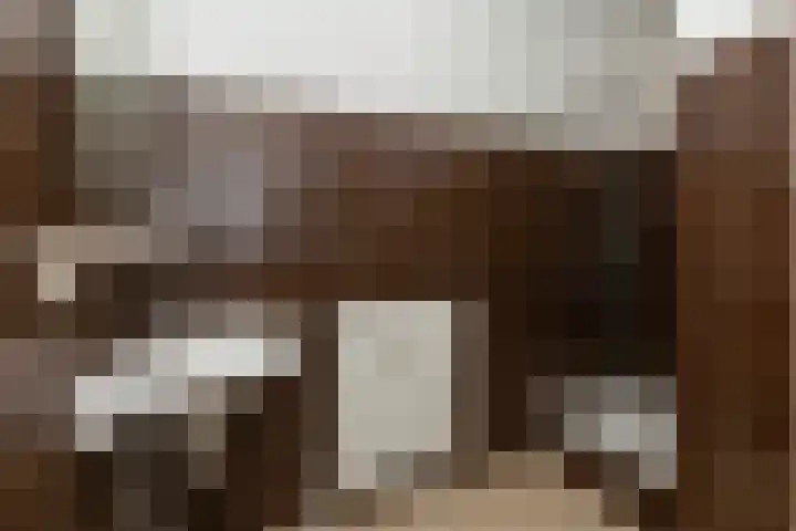 Zadkinerade 56 Capelle aan den IJssel thumbnail 17