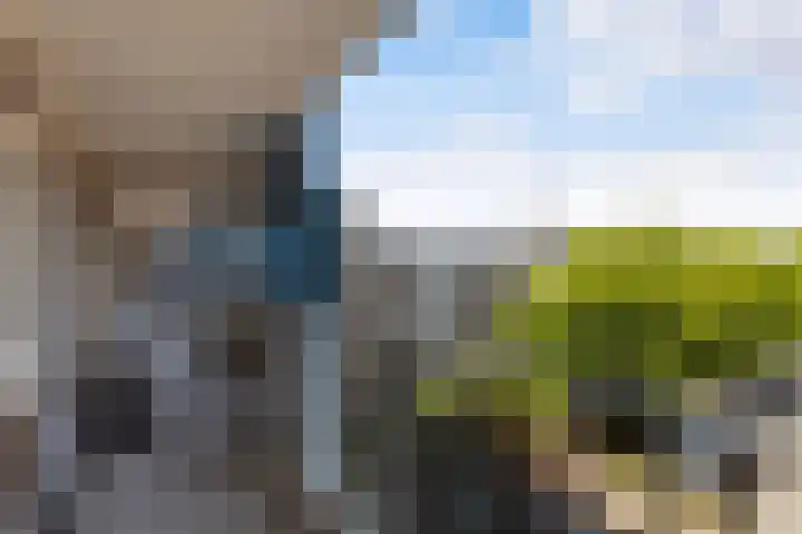Zadkinerade 56 Capelle aan den IJssel thumbnail 19