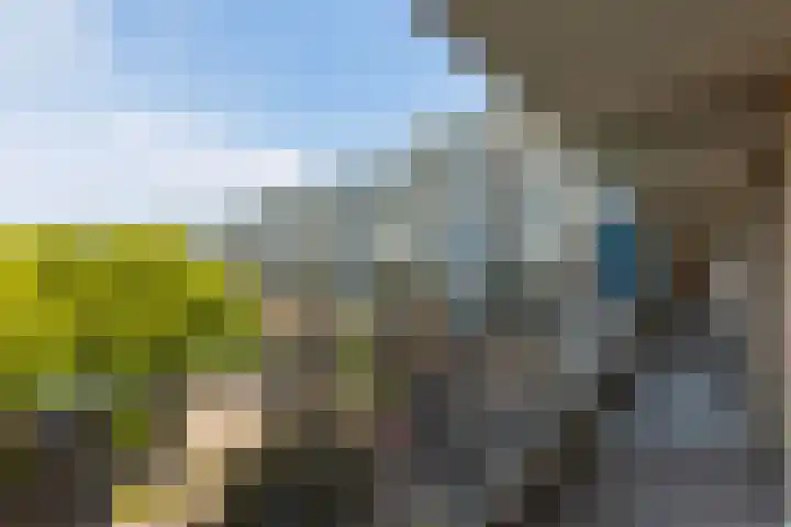 Zadkinerade 56 Capelle aan den IJssel thumbnail 20