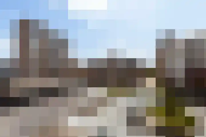 Zadkinerade 56 Capelle aan den IJssel thumbnail 21