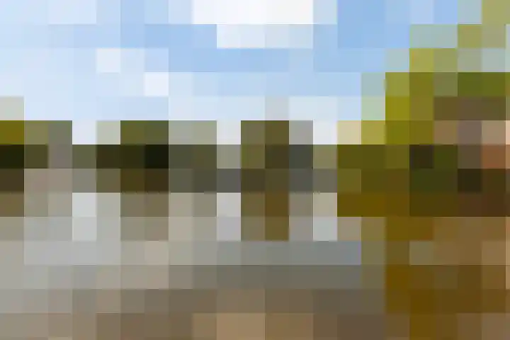 Zadkinerade 56 Capelle aan den IJssel thumbnail 23