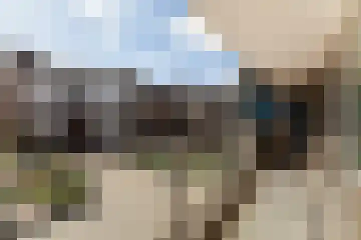 Zadkinerade 56 Capelle aan den IJssel thumbnail 4