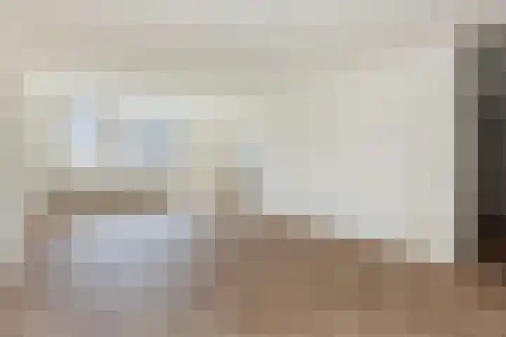 Zadkinerade 56 Capelle aan den IJssel thumbnail 7