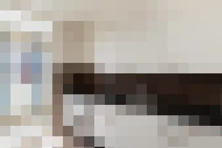 Zadkinerade 56 Capelle aan den IJssel thumbnail 9