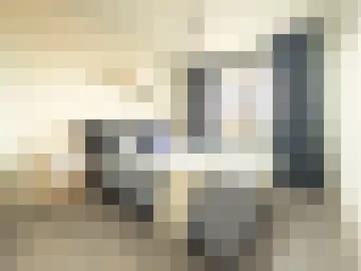 Zadkinerade 81 Capelle aan den IJssel thumbnail 13