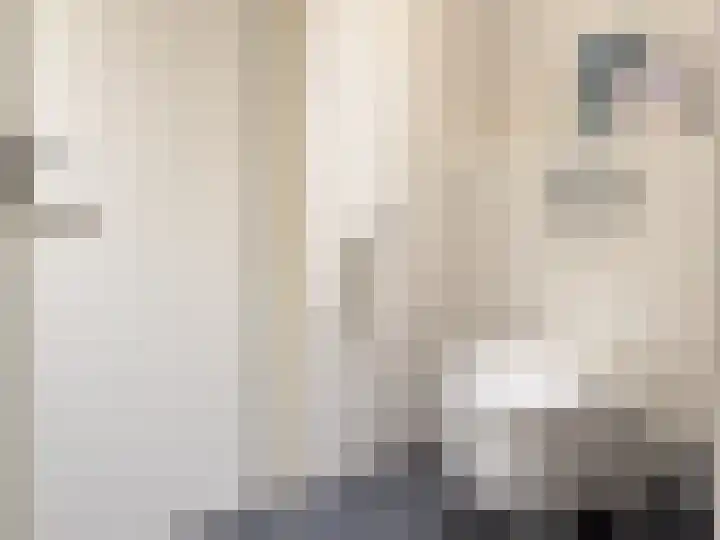 Zadkinerade 81 Capelle aan den IJssel thumbnail 20