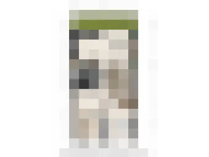 Zadkinerade 81 Capelle aan den IJssel thumbnail 28