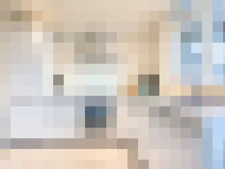 Zadkinerade 81 Capelle aan den IJssel thumbnail 5