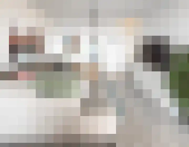 Zadkinerade 81 Capelle aan den IJssel thumbnail 7