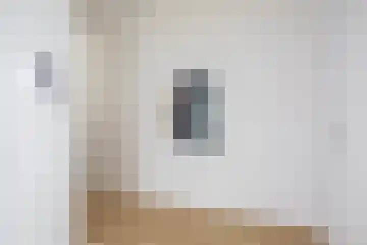 Zadkinerade 94 Capelle aan den IJssel thumbnail 10