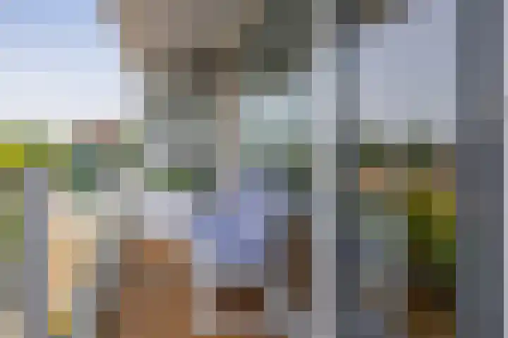 Zadkinerade 94 Capelle aan den IJssel thumbnail 22
