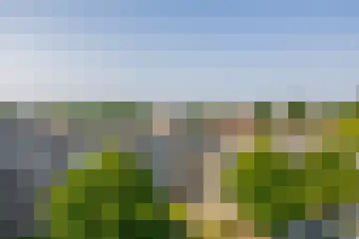 Zadkinerade 94 Capelle aan den IJssel thumbnail 24