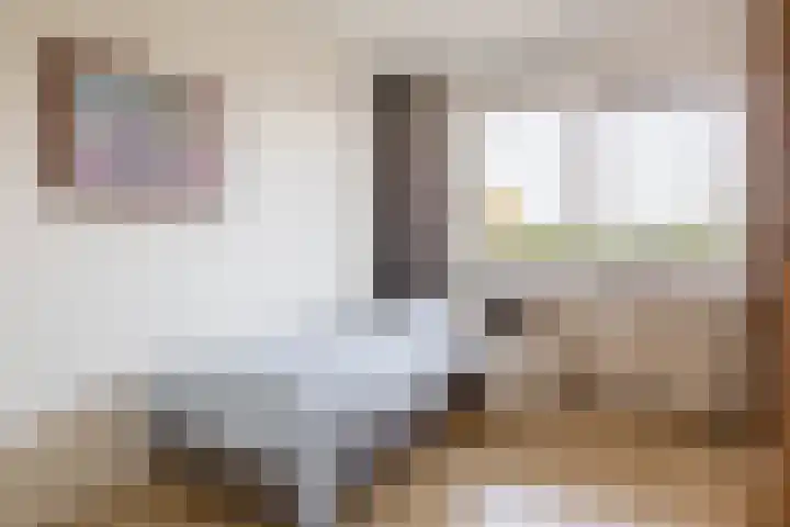 Zadkinerade 94 Capelle aan den IJssel thumbnail 26