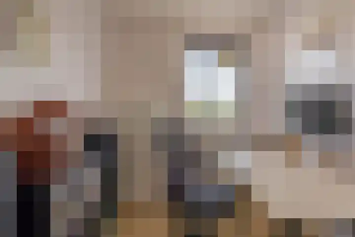 Zadkinerade 94 Capelle aan den IJssel thumbnail 31