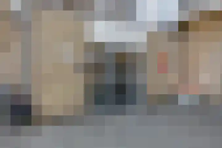 Zadkinerade 94 Capelle aan den IJssel thumbnail 6