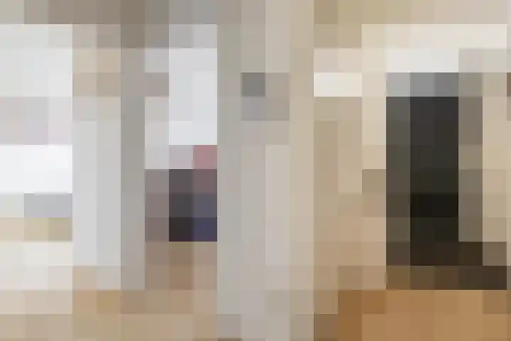 Zadkinerade 94 Capelle aan den IJssel thumbnail 9