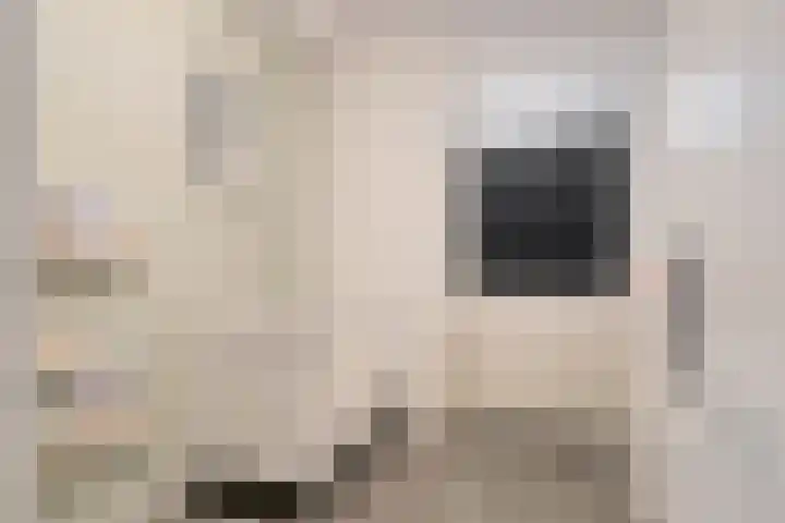 Zadkinerade 96 Capelle aan den IJssel thumbnail 12