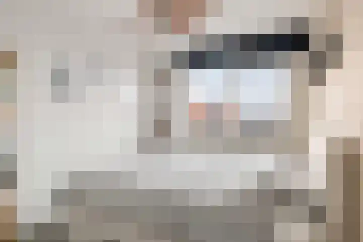 Zadkinerade 96 Capelle aan den IJssel thumbnail 14