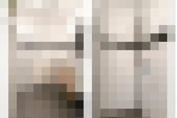 Zadkinerade 96 Capelle aan den IJssel thumbnail 15