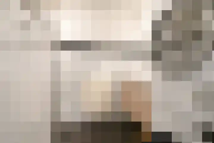Zadkinerade 96 Capelle aan den IJssel thumbnail 17