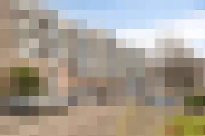Zadkinerade 96 Capelle aan den IJssel thumbnail 19