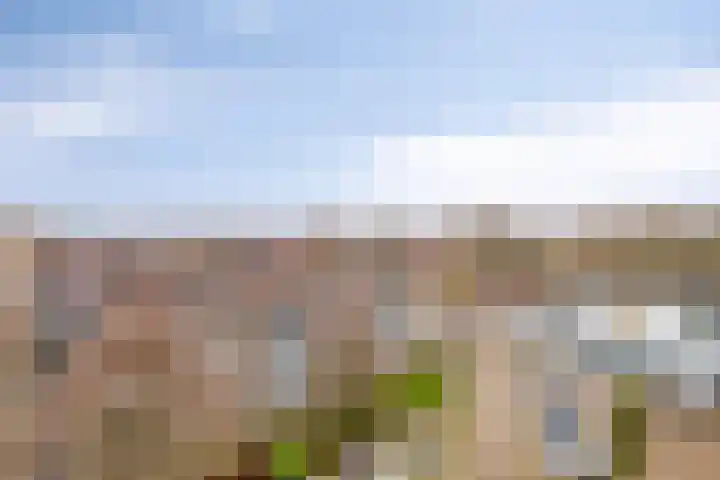 Zadkinerade 96 Capelle aan den IJssel thumbnail 20