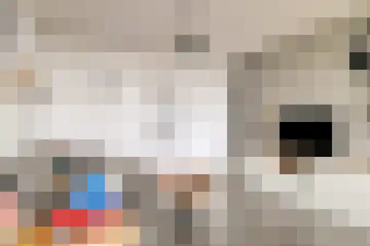 Zadkinerade 96 Capelle aan den IJssel thumbnail 6