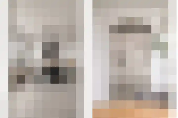 Zadkinerade 96 Capelle aan den IJssel thumbnail 7