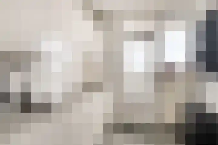 Zadkinerade 96 Capelle aan den IJssel thumbnail 8