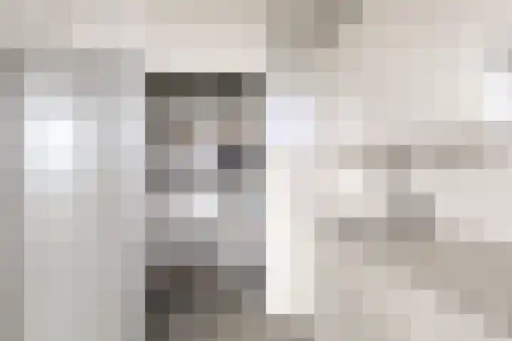 Zadkinerade 96 Capelle aan den IJssel thumbnail 9