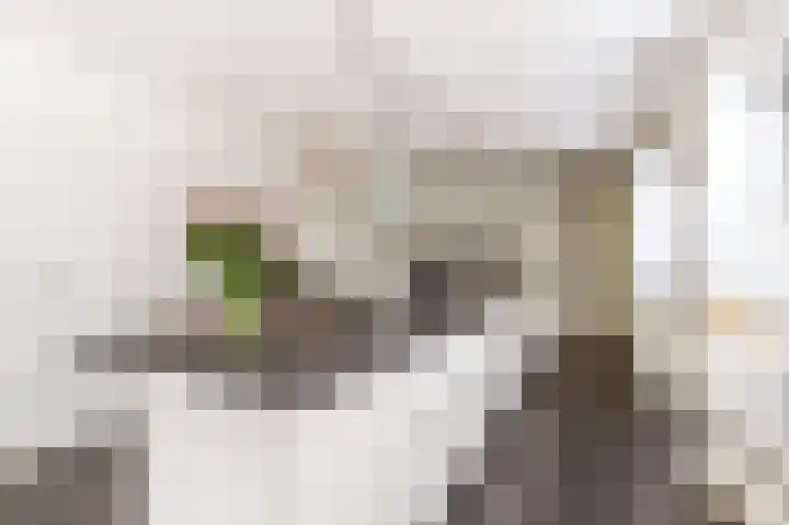Zadkinestraat 128 Almere thumbnail 13