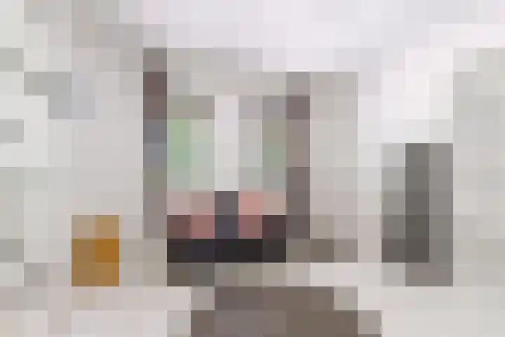 Zadkinestraat 128 Almere thumbnail 33