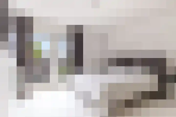 Zadkinestraat 128 Almere thumbnail 38