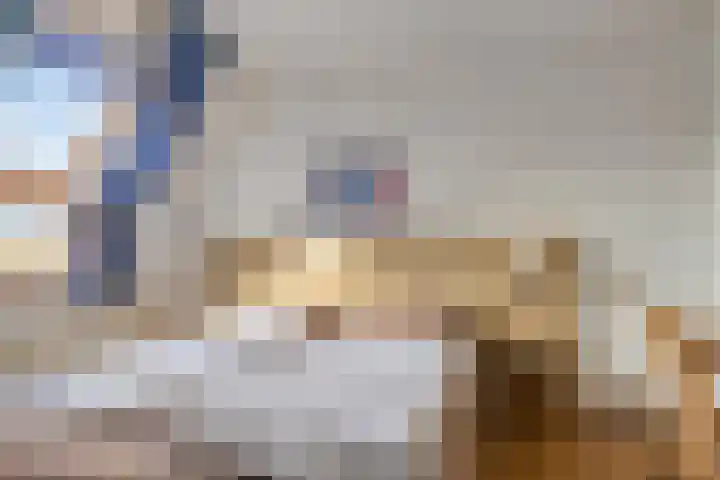 Zaete 14 Brouwershaven thumbnail 13