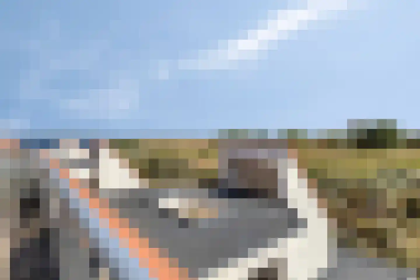 Zaete 26 Brouwershaven thumbnail 41