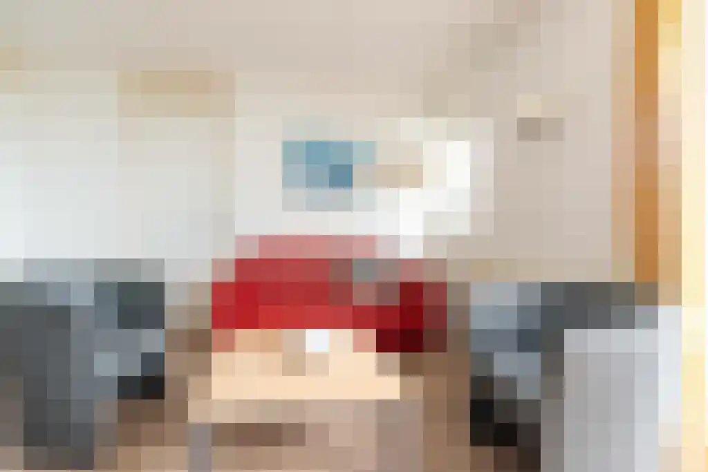 Zaete 3 Brouwershaven thumbnail 5
