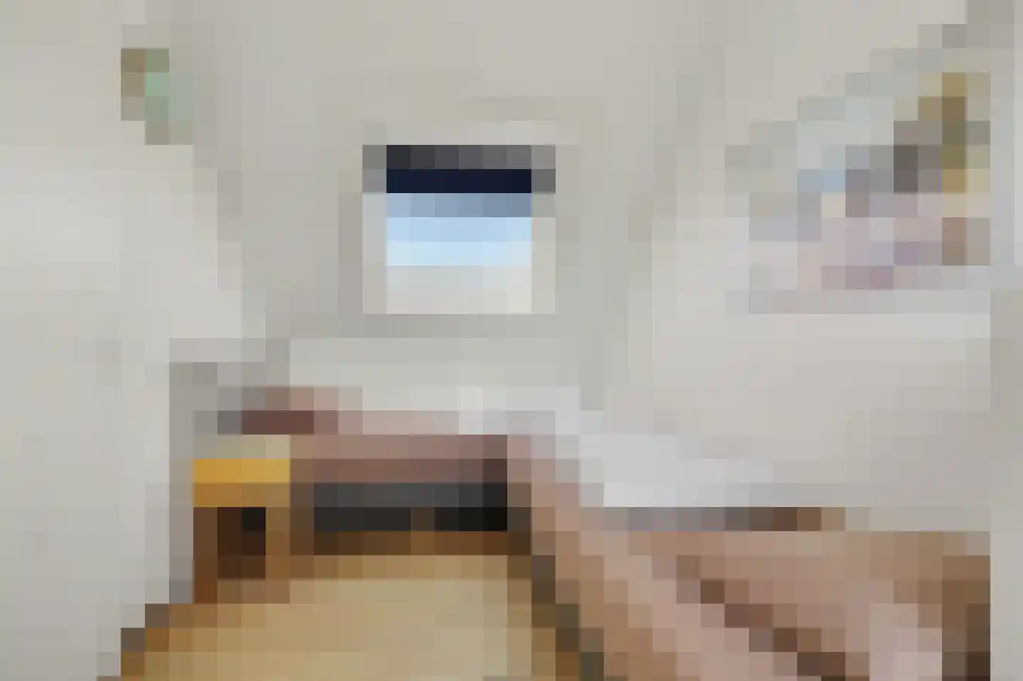 Zaete 32 Brouwershaven thumbnail 13
