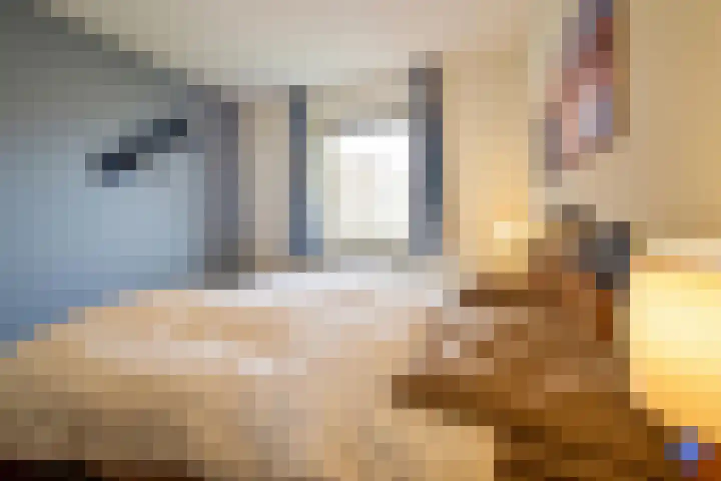 Zaete 9 Brouwershaven thumbnail 11