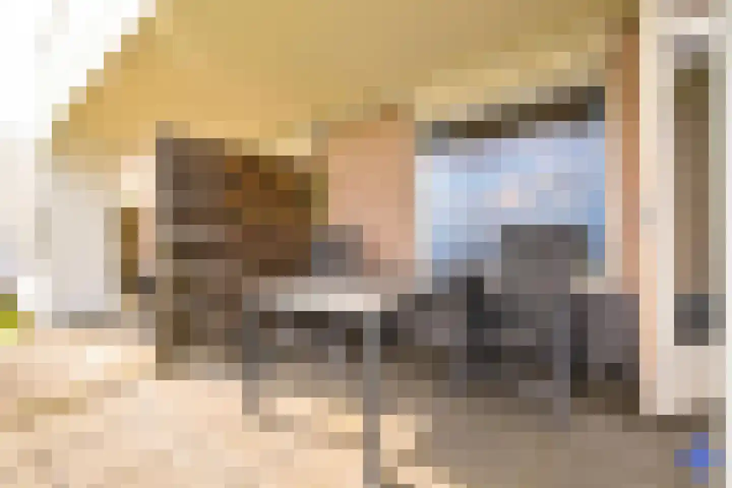 Zaete 9 Brouwershaven thumbnail 17