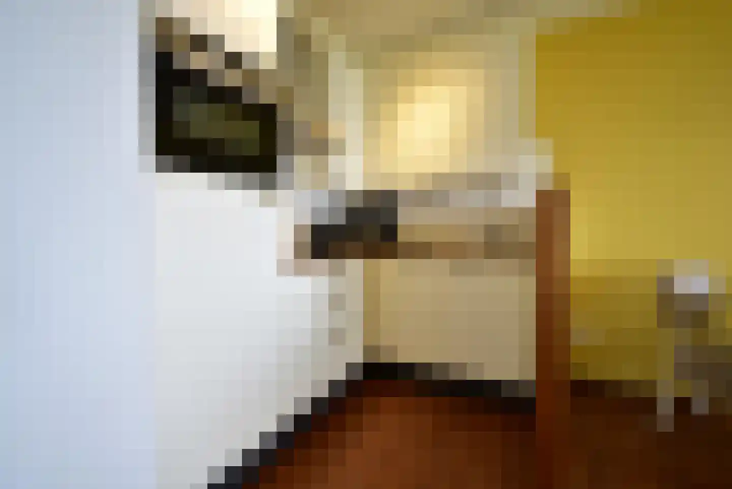 Zaete 9 Brouwershaven thumbnail 8