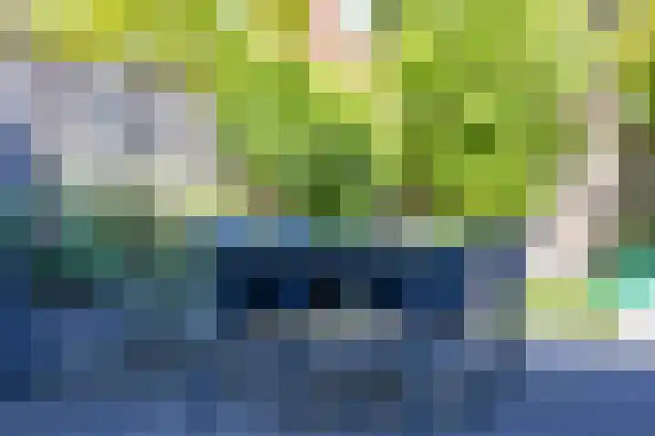 Zagerij 12 Arnhem thumbnail 11