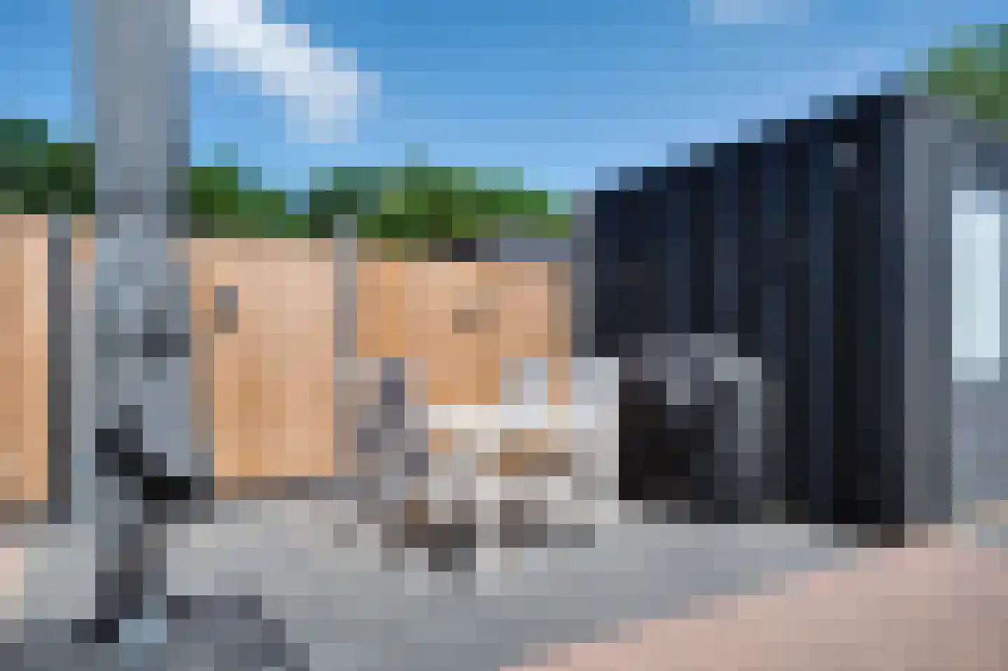 Zagerij 15 Schijndel thumbnail 21