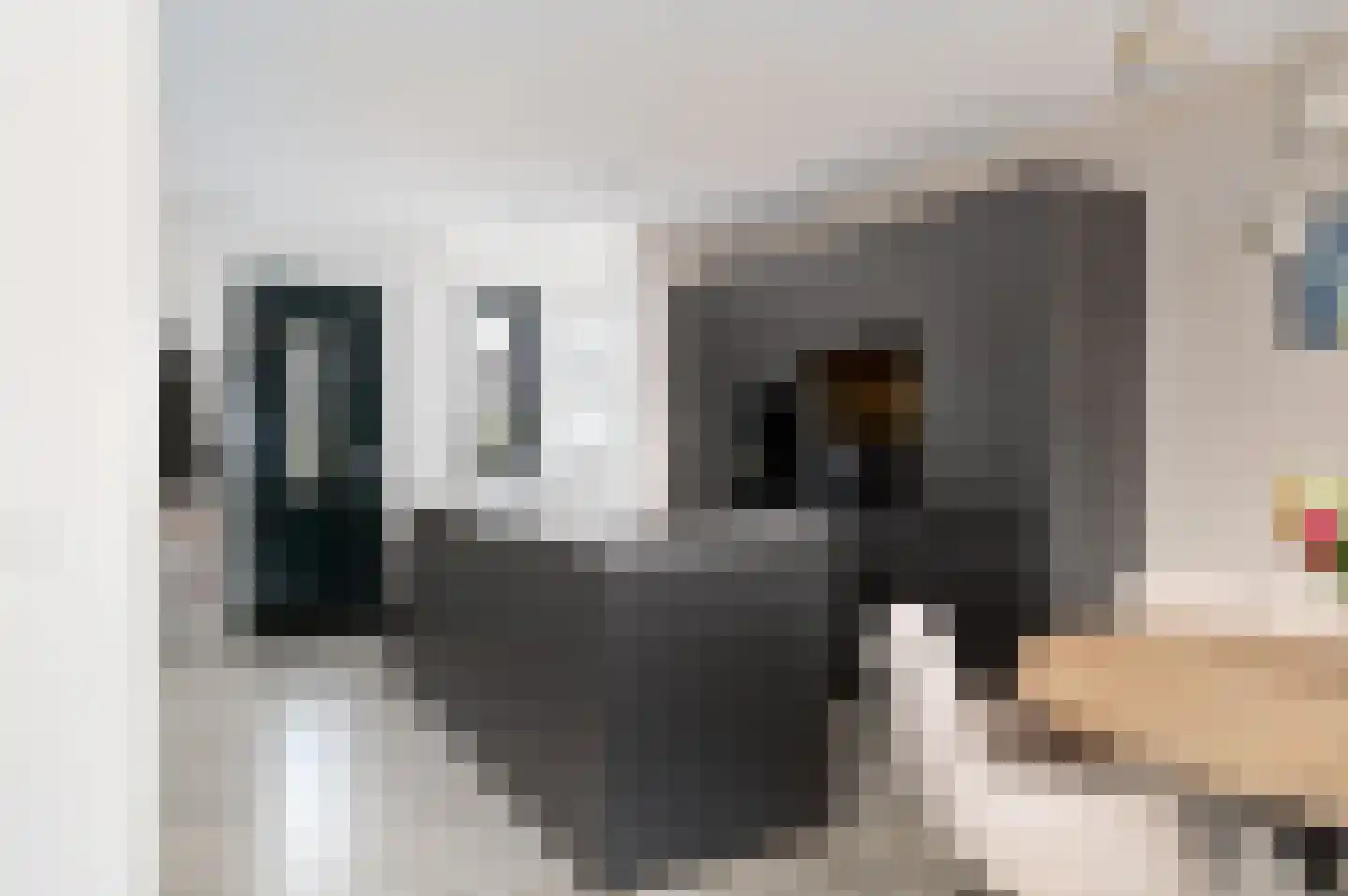 Zagerij 15 Schijndel thumbnail 7