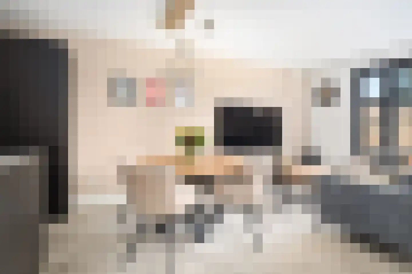 Zagerij 15 Schijndel thumbnail 9