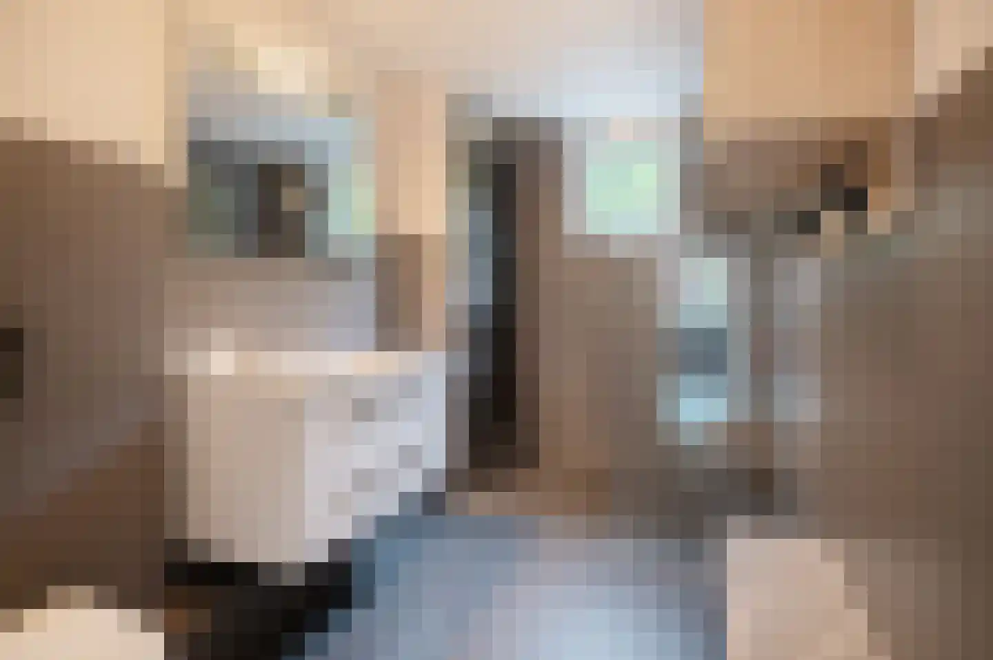 Zagerij 16 Groningen thumbnail 30
