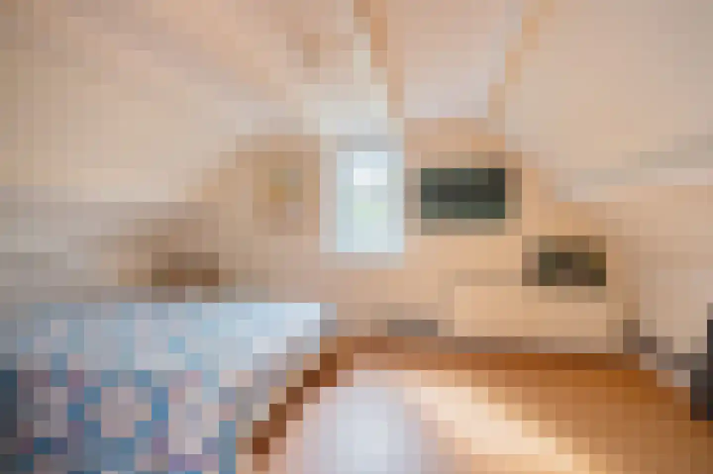 Zagerij 16 Groningen thumbnail 36