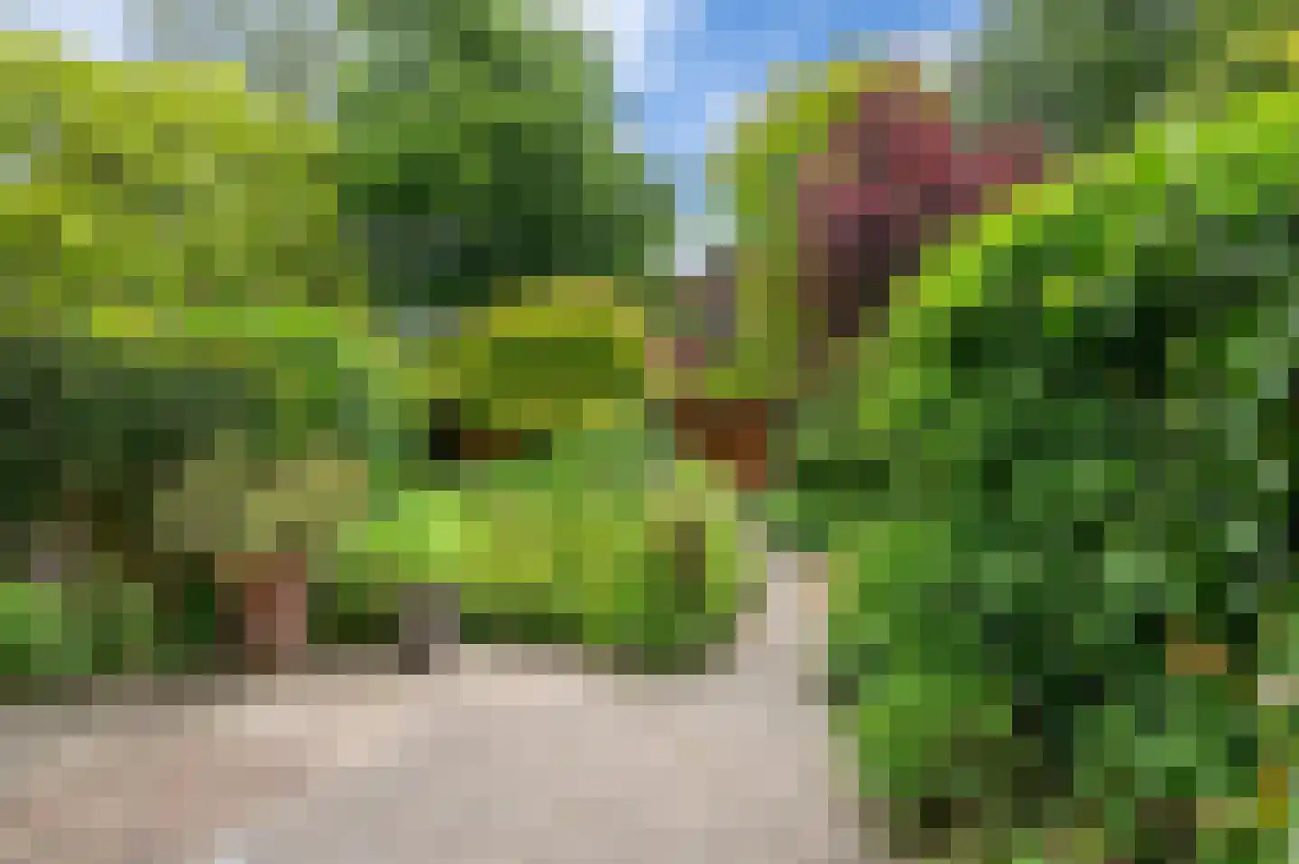 Zagerij 16 Groningen thumbnail 39